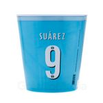 Balde_Suarez_Detalhe1.jpg