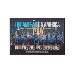 Pôster Tri Campeão Libertadores 2017