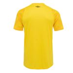 Camisa_Masc_Goleiro_Of2024_Amarelo_Costas.jpg