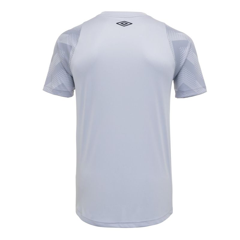 Camisa_Masc_Goleiro_Of2024_Cinza_Costas.jpg