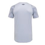 Camisa_Masc_Goleiro_Of2024_Cinza_Costas.jpg