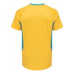 Camisa_Masc_Treino_2025_AmareloCeleste_Costas.jpg