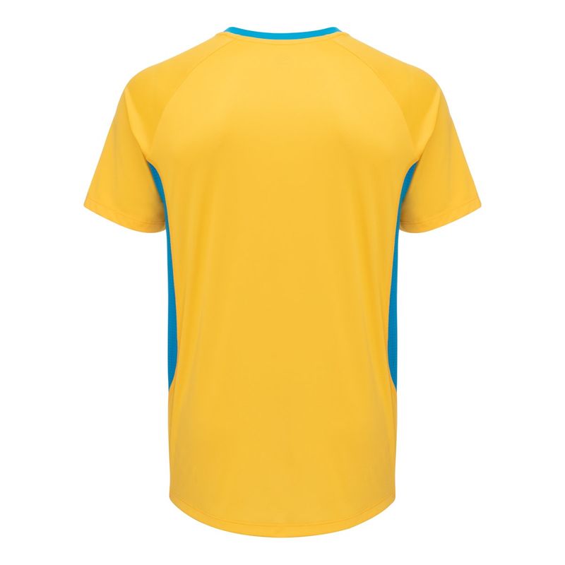 Camisa_Masc_Treino_2025_AmareloCeleste_Costas.jpg