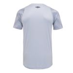 Camisa_Masc_Goleiro_Of2024_Cinza_Costas.jpg